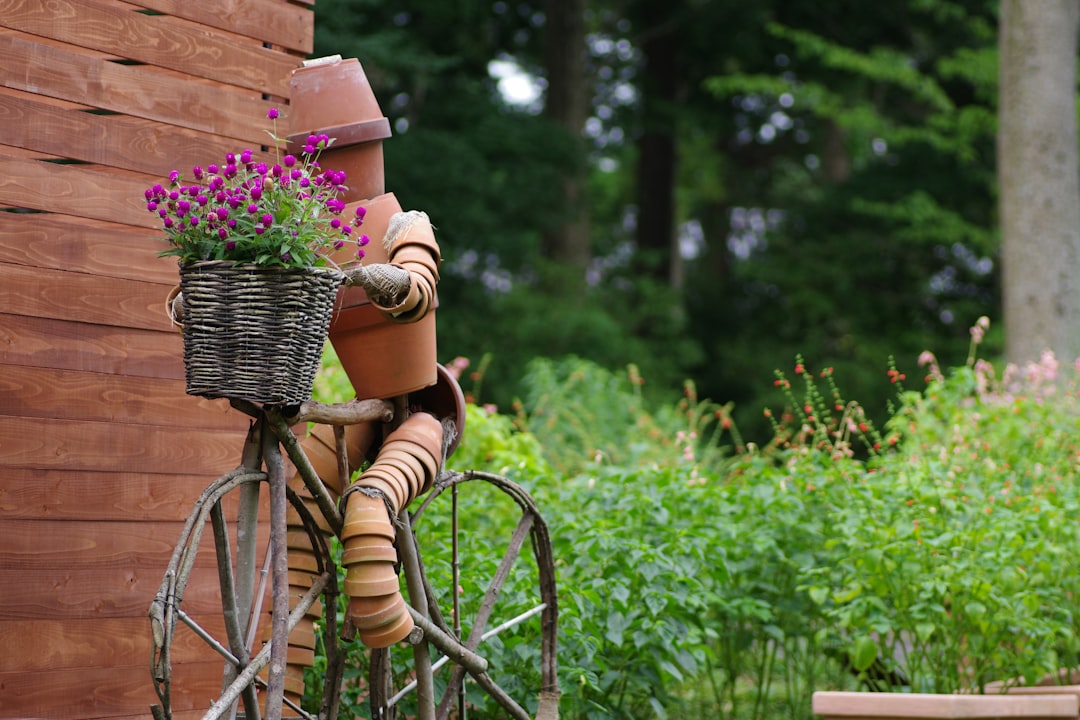Top 10 Must-Have Garden Accessories for Every Plant Lover