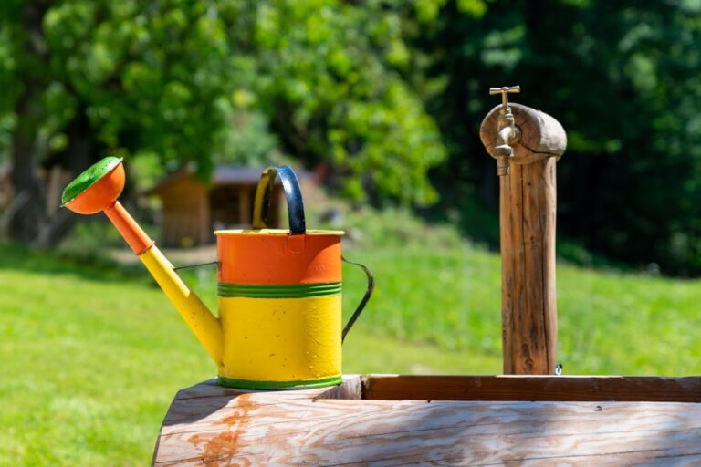 Flora Essentials: Elevate Your Gardening Experience Today