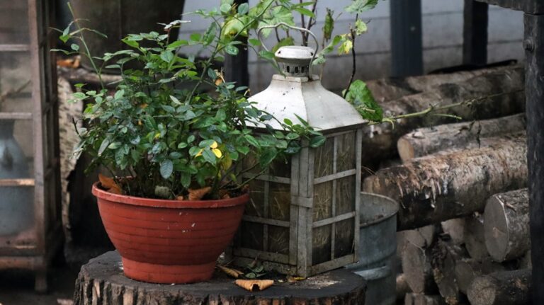 Discover the Latest Trends in Garden Accessories for 2023