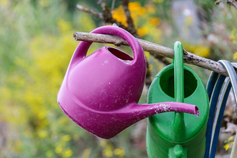 The Ultimate Guide to Maintaining Your Garden with Quality Tools